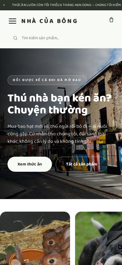 Nhà Của Bông — Trang chủ trên điện thoại